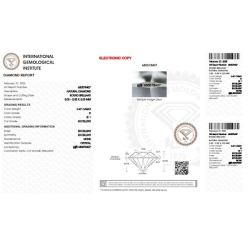 IGI Certified Diamond   CT 0,47   D   SI 1 2