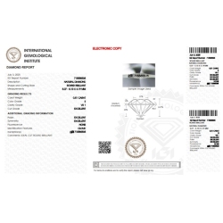 IGI Certified Diamond   CT 0,51   E   VS 1    2