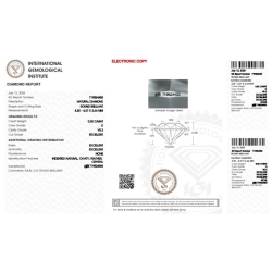 IGI Certified Diamond   CT 0,30   D   VS 2 2