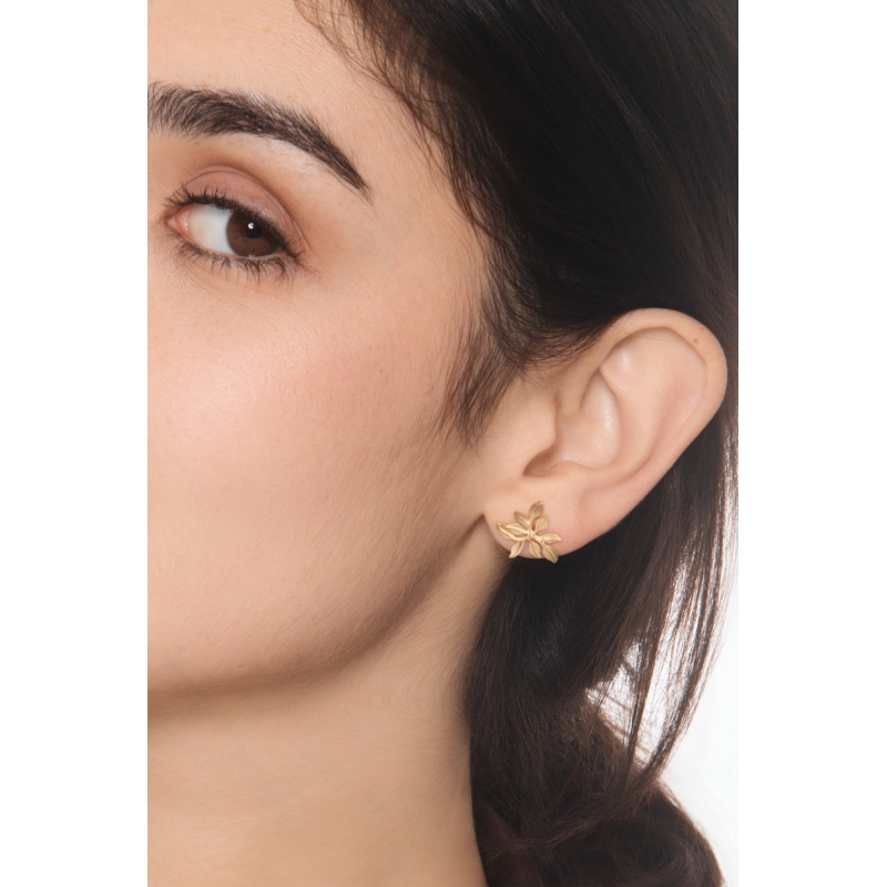 750 yellow gold leaf earrings
